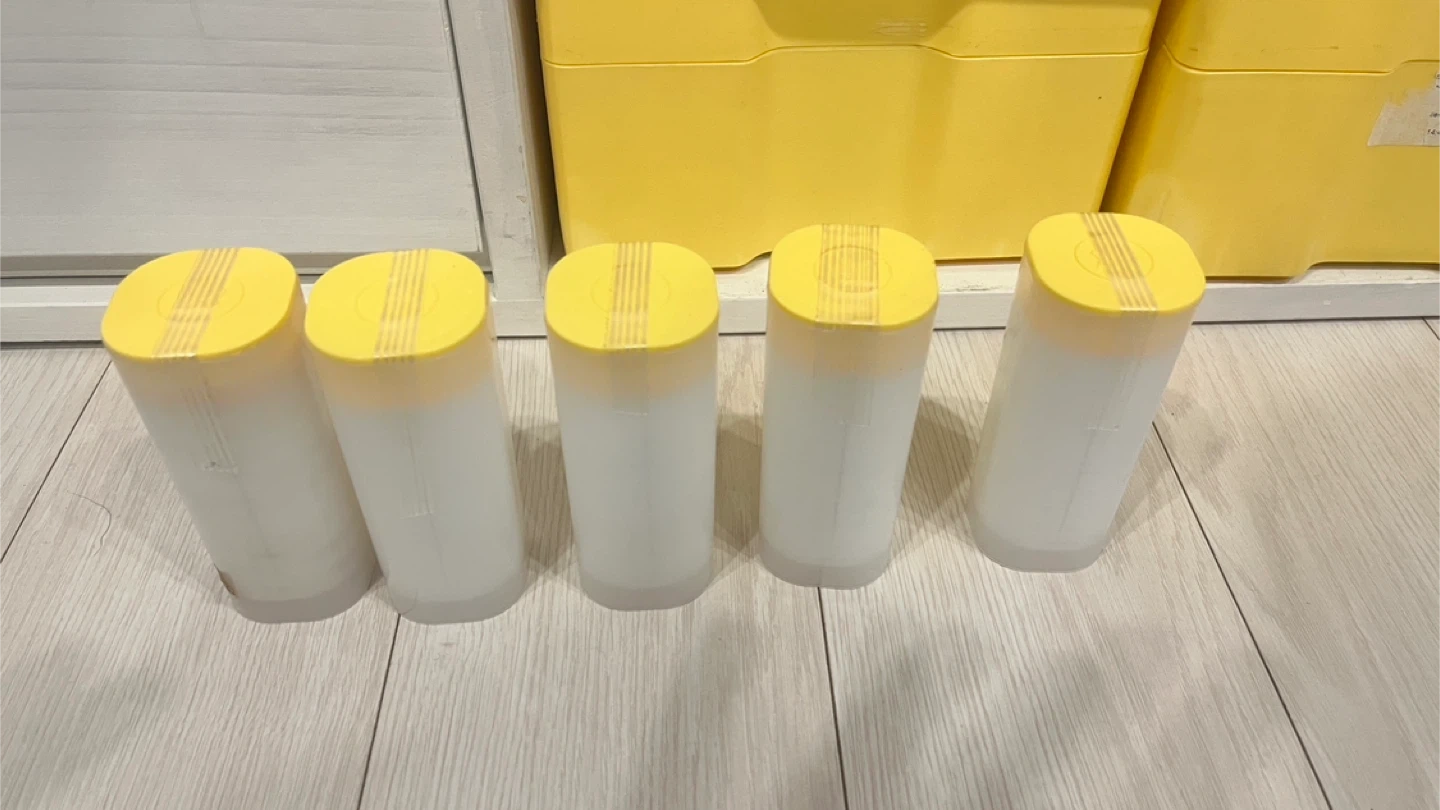 실버코인 (캐나다 메이플) | 기타 중고물품 | 당근 중고거래