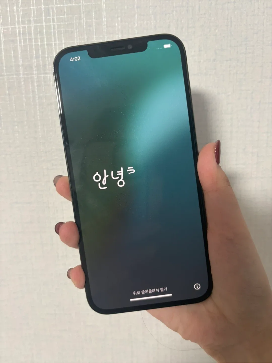 아이폰 12 Pro Max 256GB (미국판)