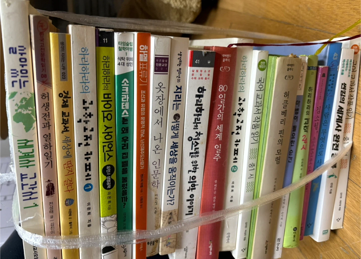 중고등학생 생기부용 다양한 종류의 책 모음(과학, 지리 등)