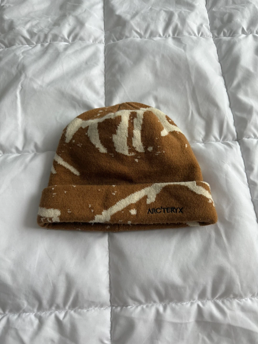 아크테릭스 비니