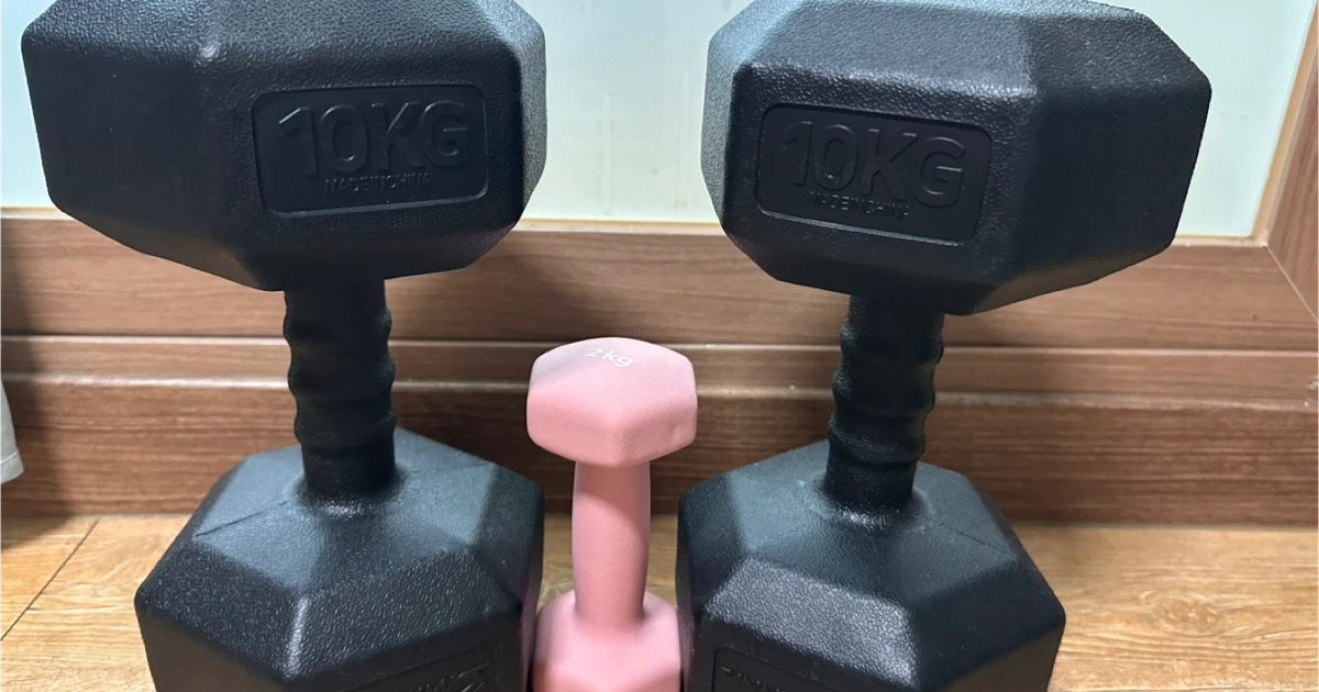 덤벨 아령 10kg 2개 | 스포츠/레저 | 당근 중고거래