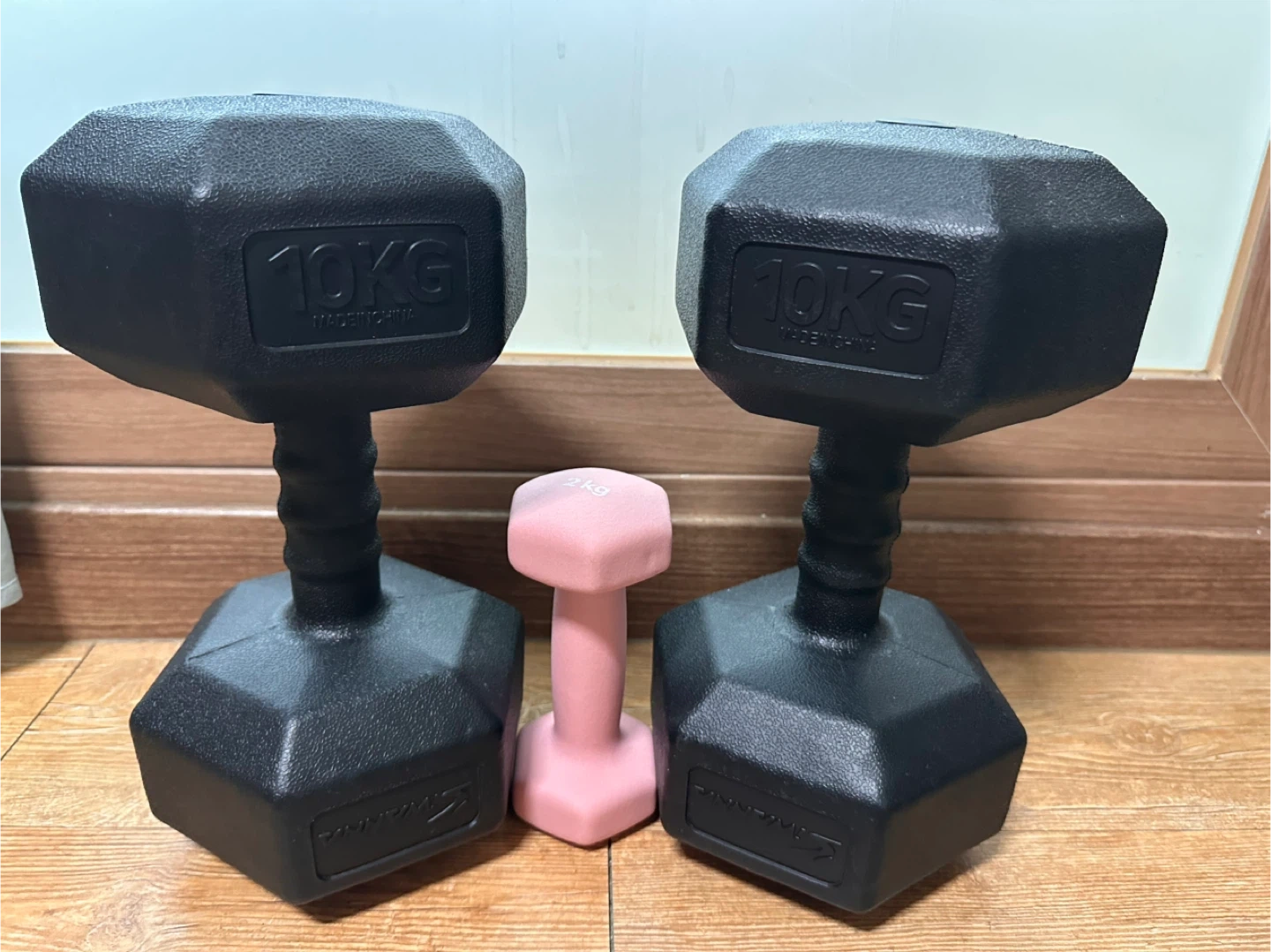 덤벨 아령 10kg 2개 | 스포츠/레저 | 당근 중고거래