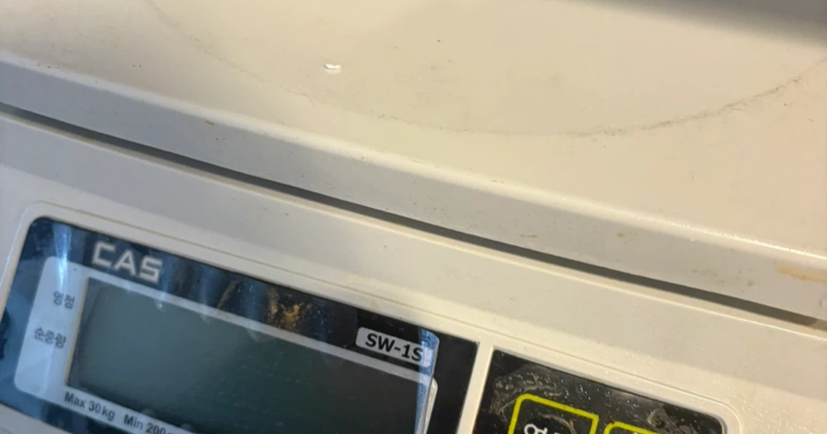 Module Cas 1s CAS SW-1S 전자저울 30kg (10g 단위) | 디지털기기 | 당근 중고거래