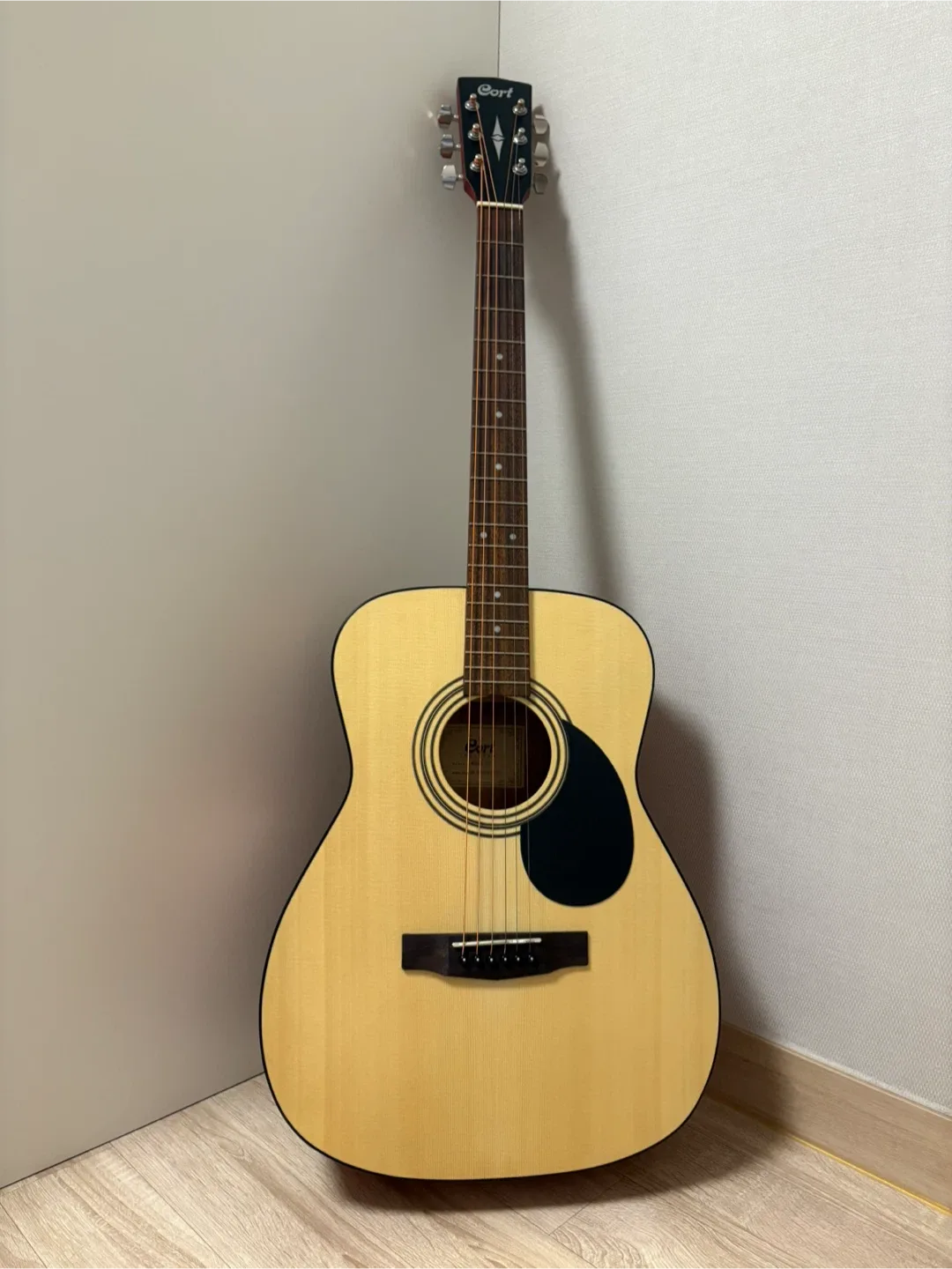 Cort 콜트 AF510 OP 통기타 ~2/2일까지‼️가격 내림 ❌❌