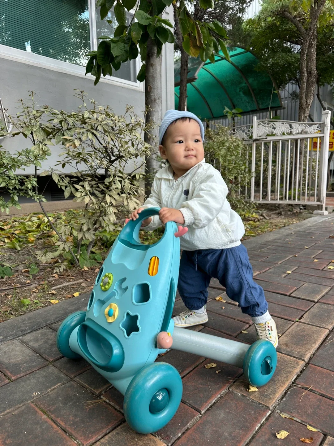 블루래빗 걸음마보조기