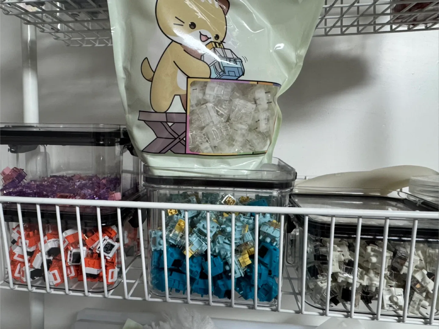 키보드 스위치 일괄 쿨거