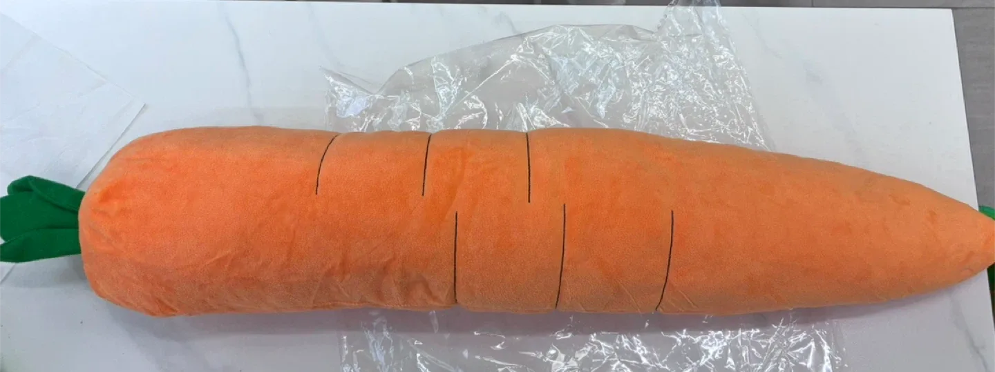 강아지 장난감 당근 인형