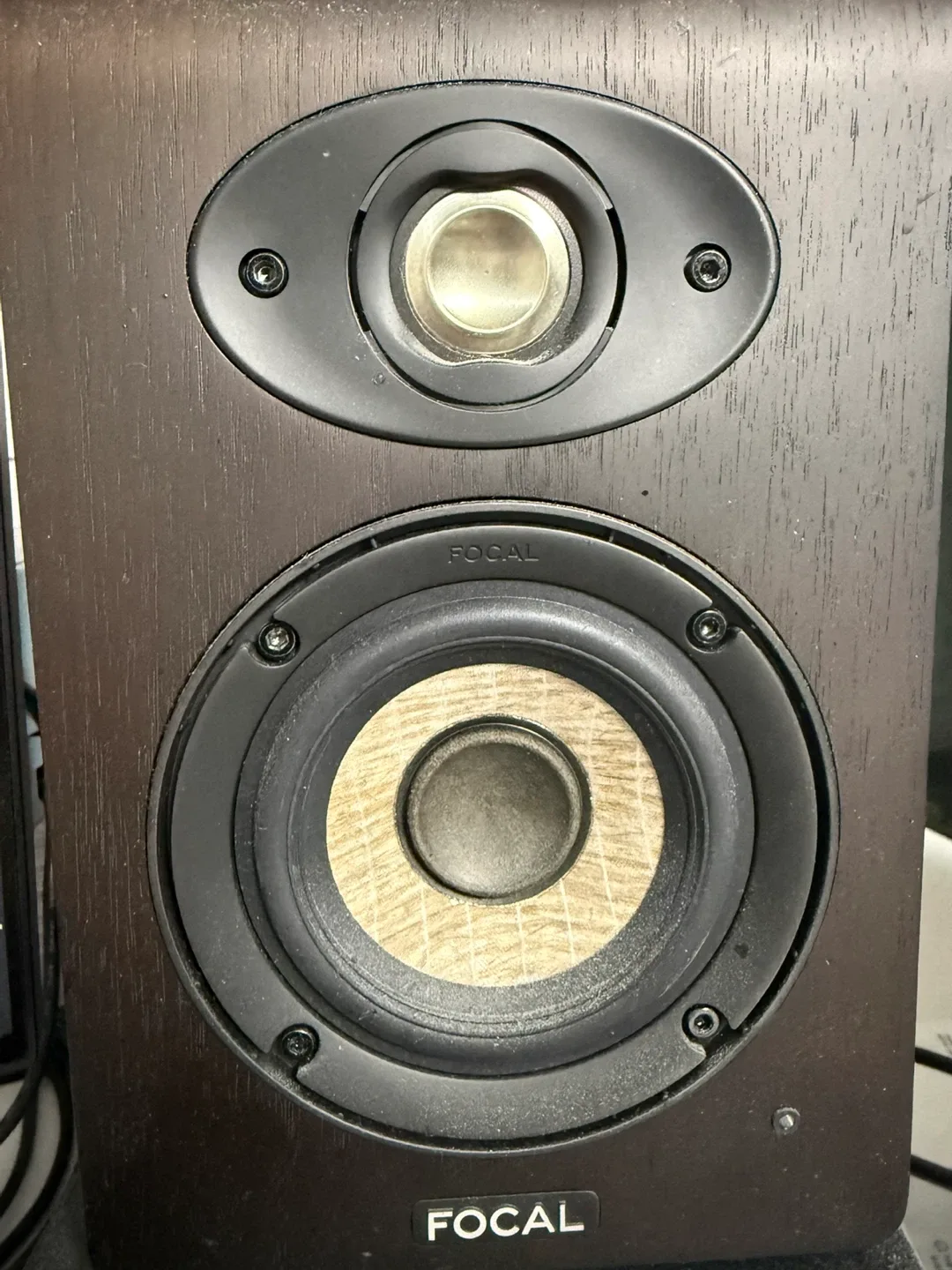 Focal shape 40 판매