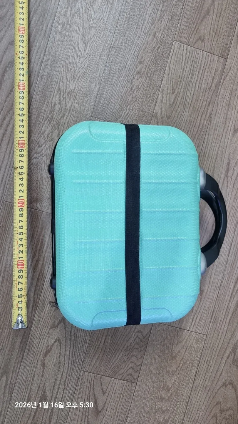 여행용 미니백(민트색 레디백 캐리어 33cm x 23cm)