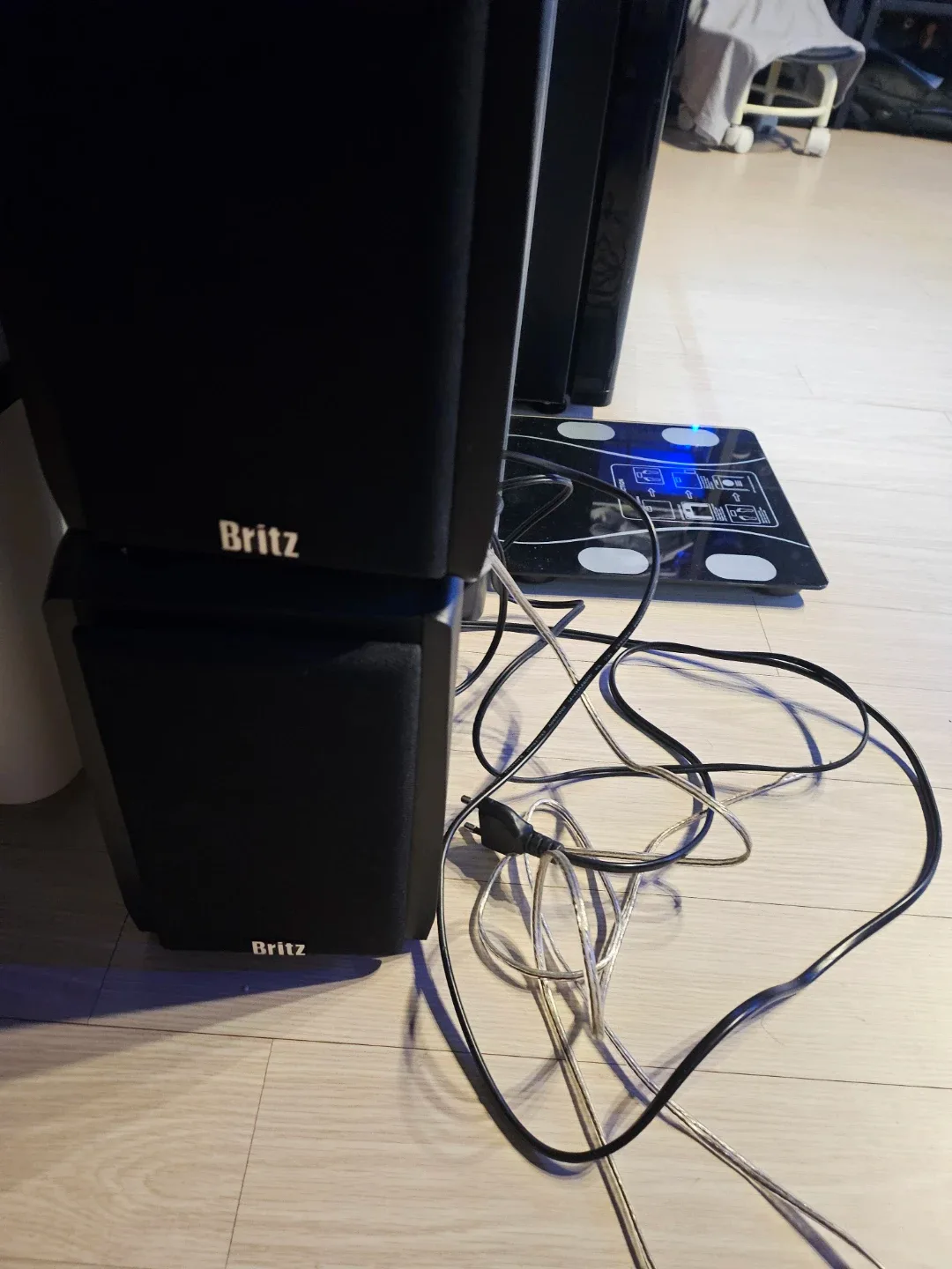 가성비 끝판왕 브리츠(Britz) 2채널 북쉘프 스피커 판매합니다