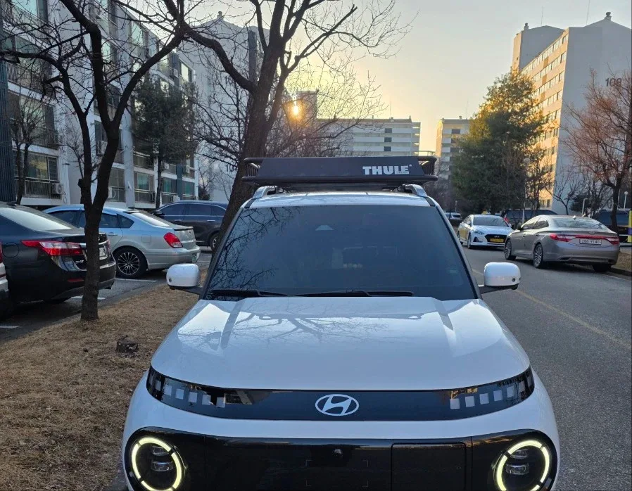 캐스퍼 툴레 캐리어(캐니언) 바스켓형