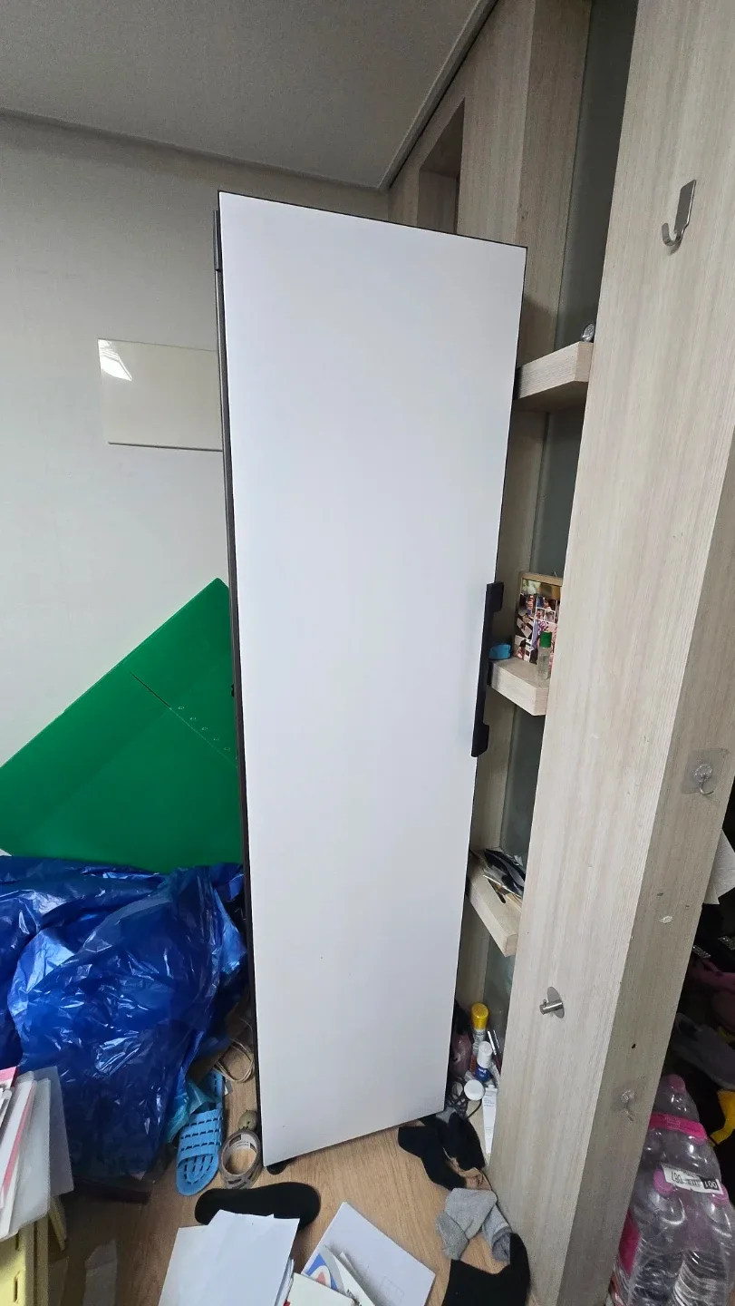삼성 비스포크 1도어 냉장고 RZ24A5660AP