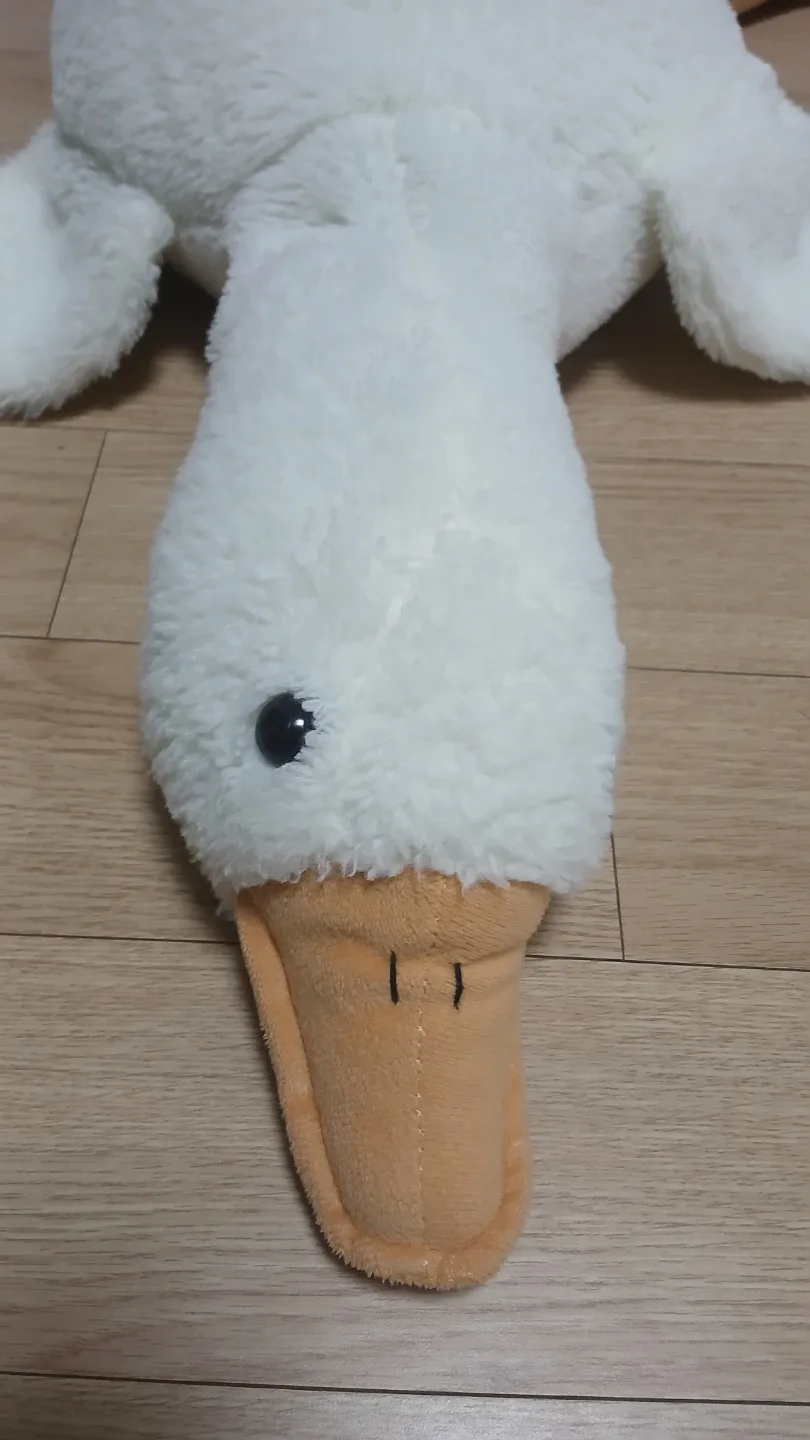 큰 오리인형 작은 오리인형 묶음