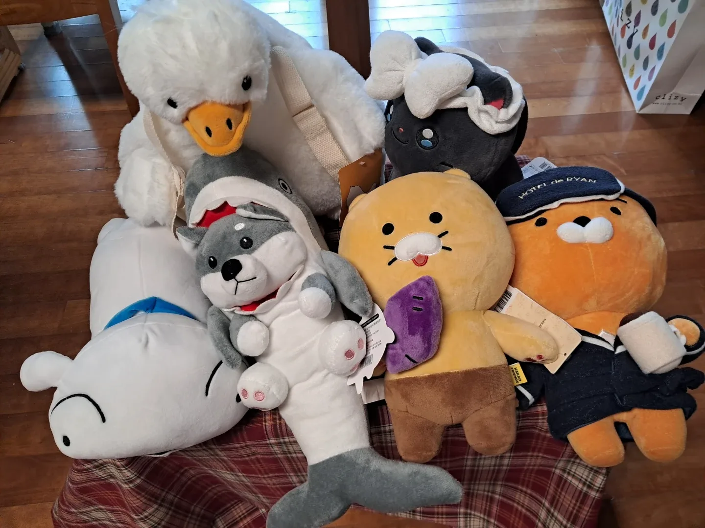인형 모음