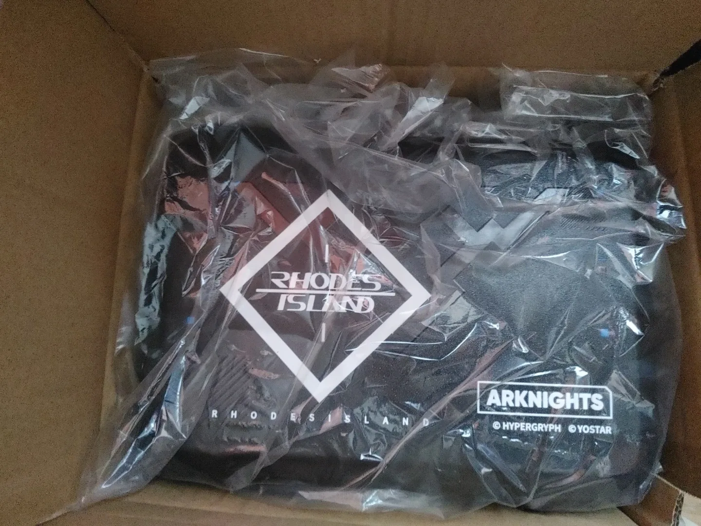 Arknights 여행가방