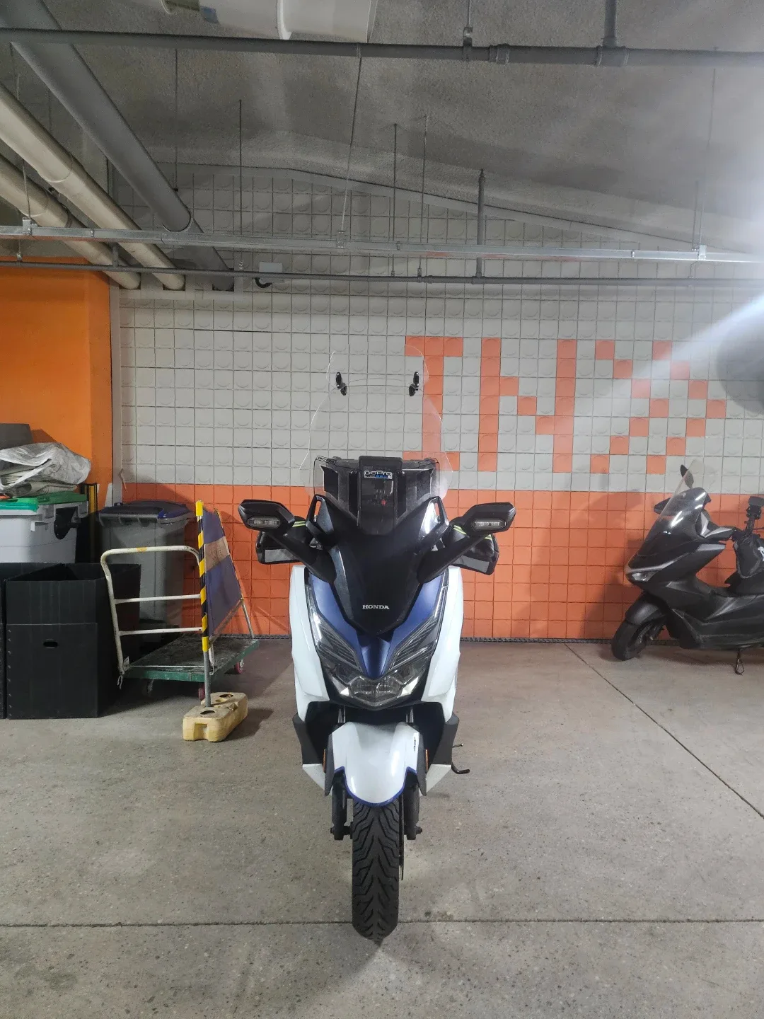 포르자300