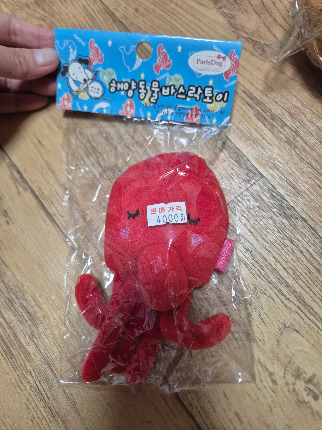 패리스독 해양동물 문어 바스라토이 키링