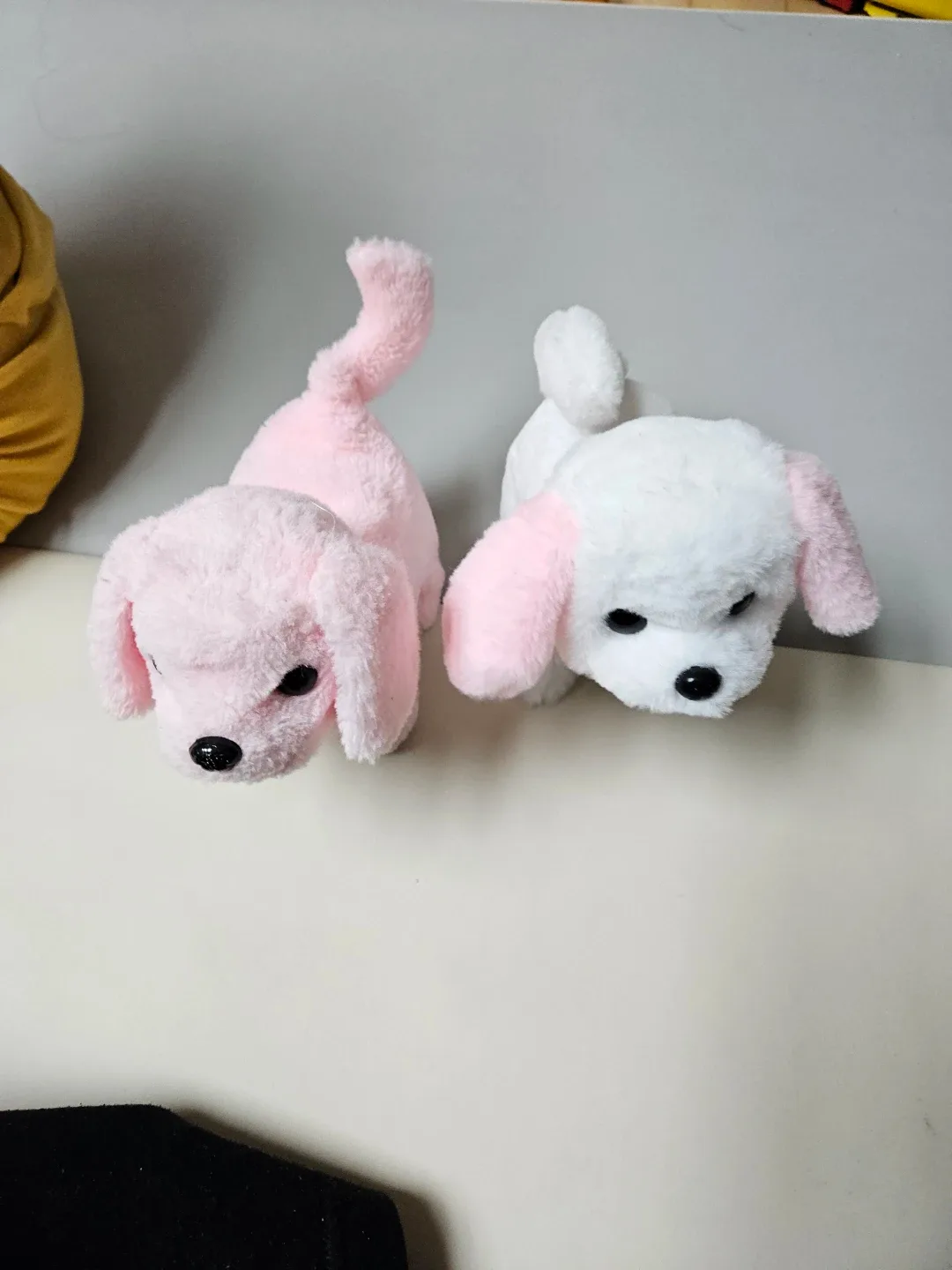 움직이는 강아지