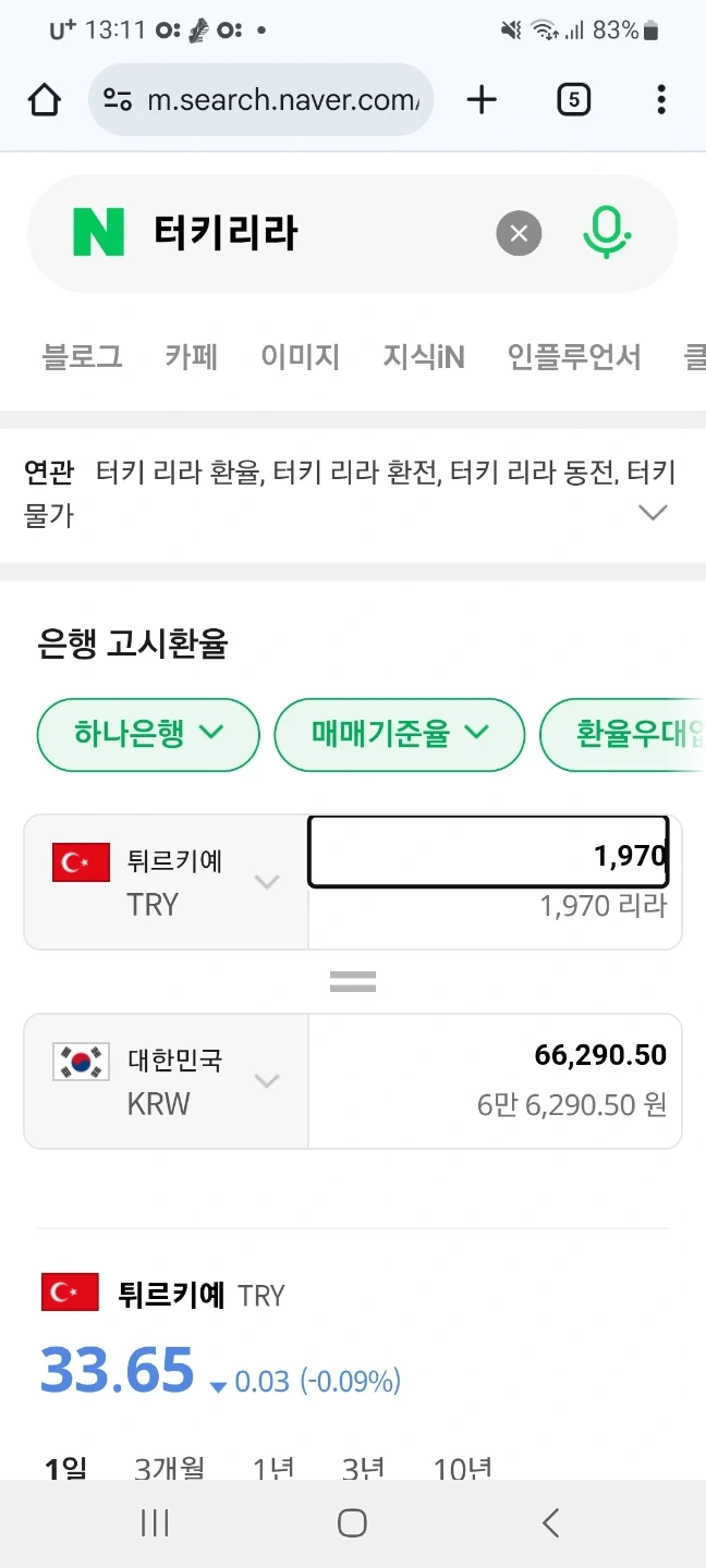 터키 리라 1970리라 | 티켓/교환권 | 당근 중고거래