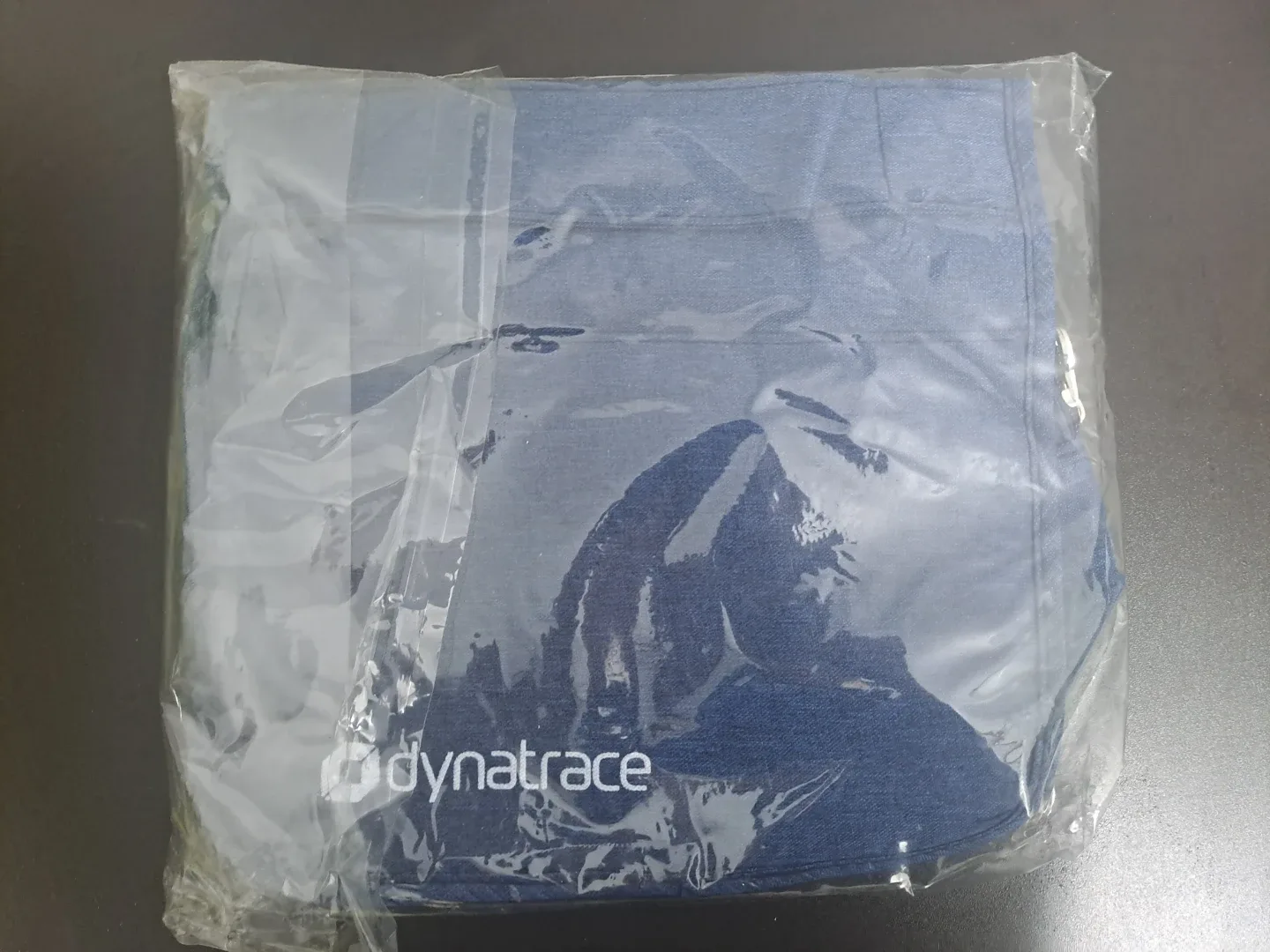 Dynatrace 다이나트레이스 여행용 파우치 세면백