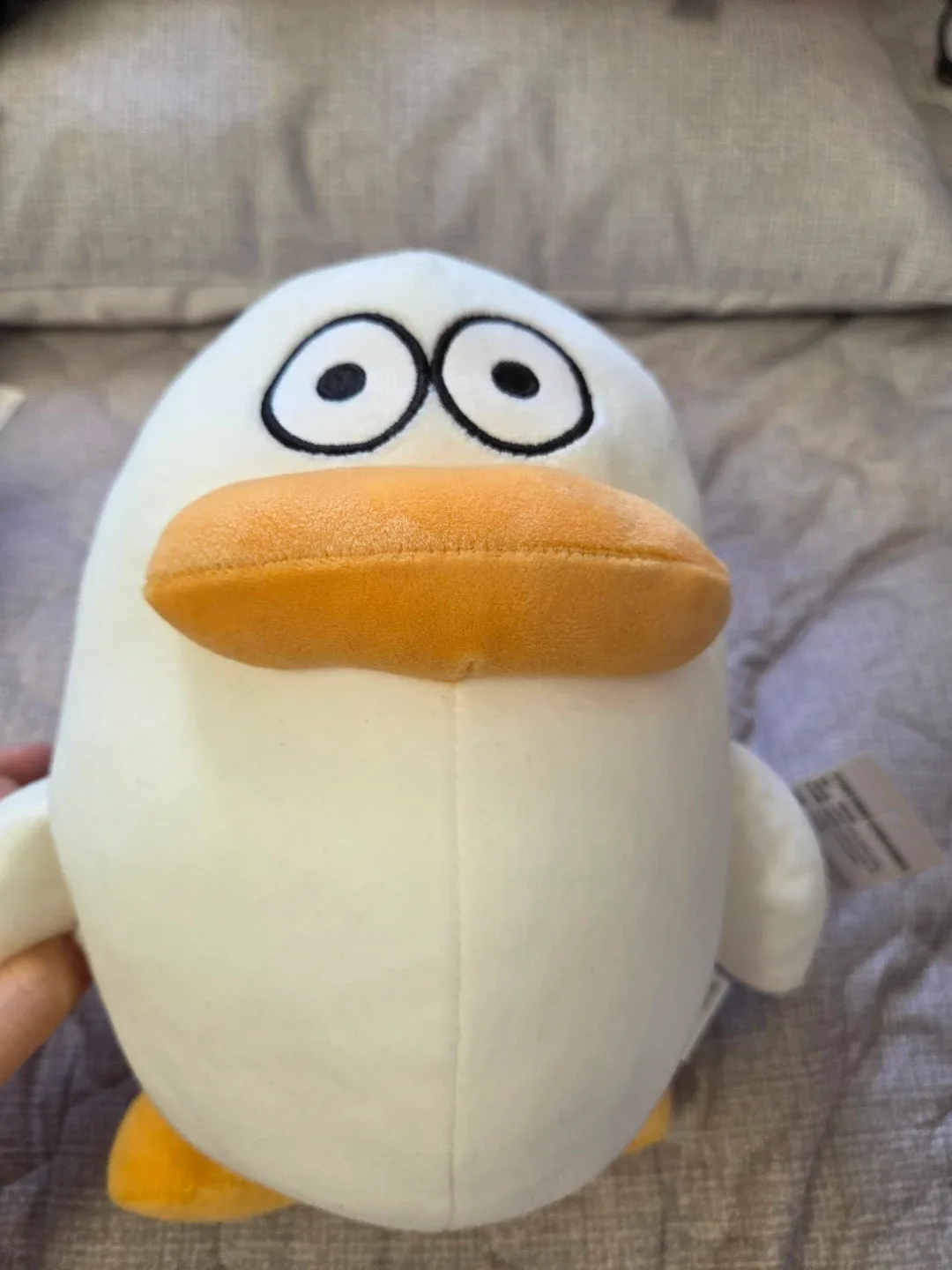 띨빵한 오리 인형