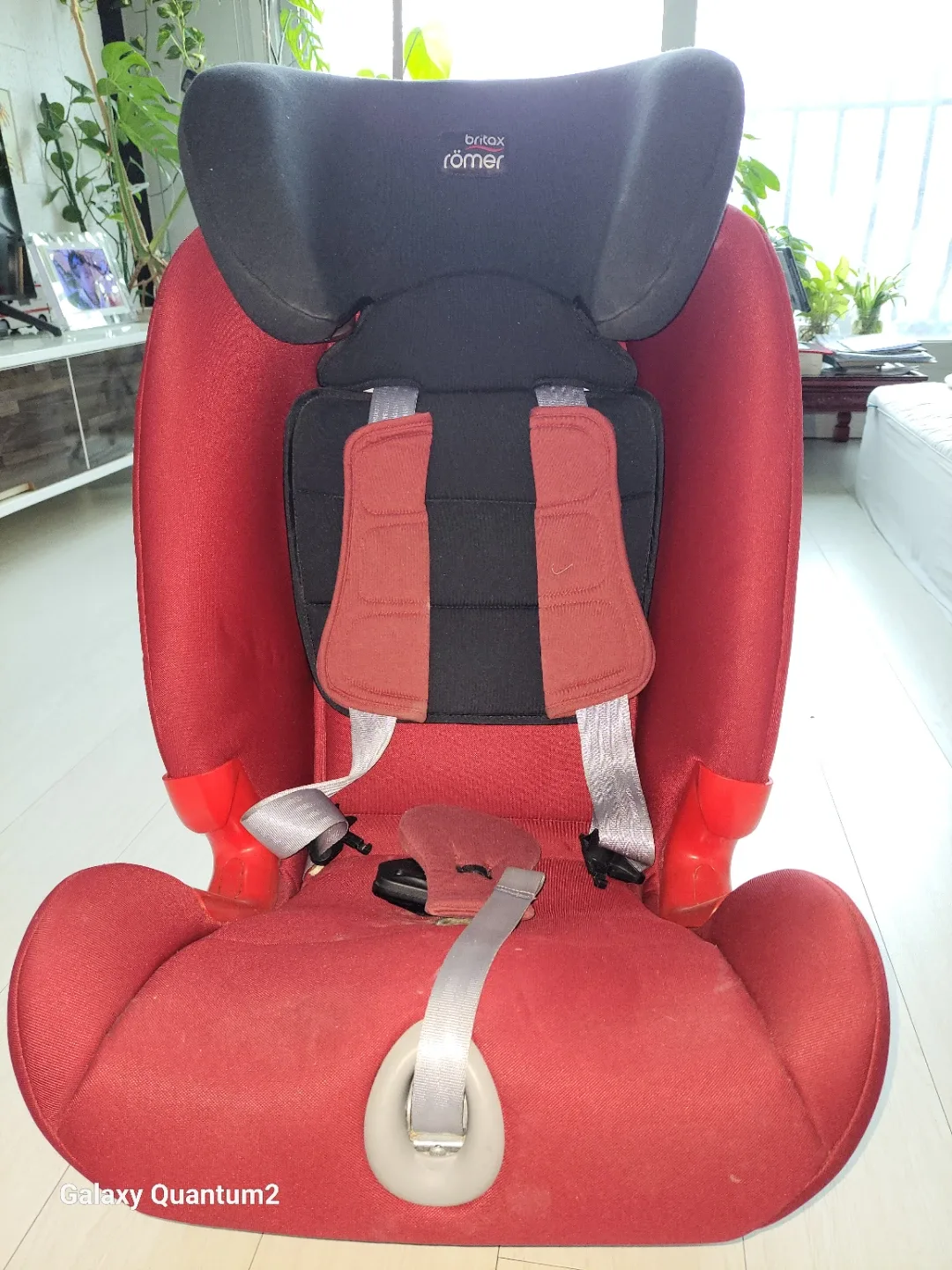 브라이텍스 롬머 주니어 카시트