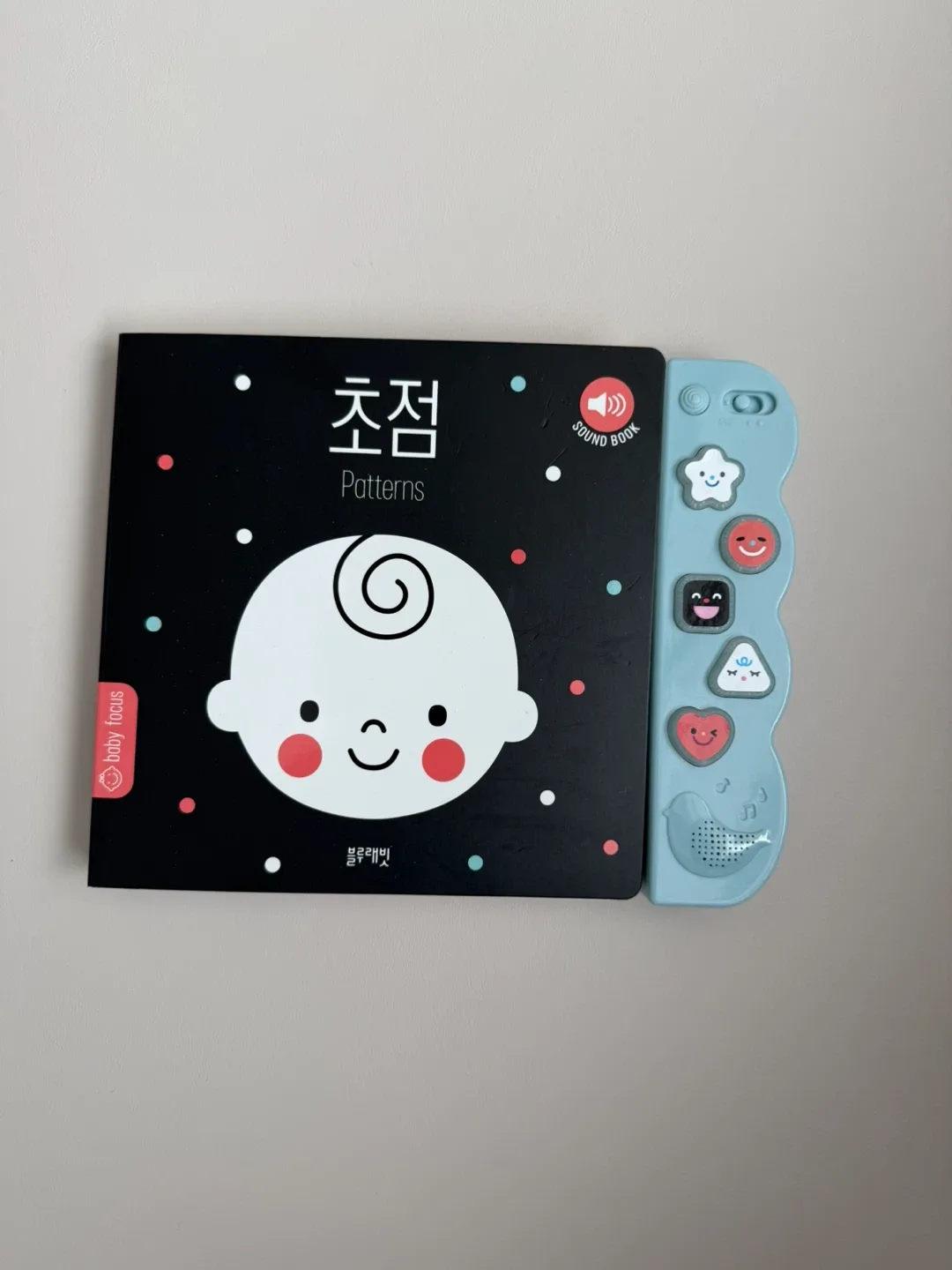 블루래빗 초점 사운드북
