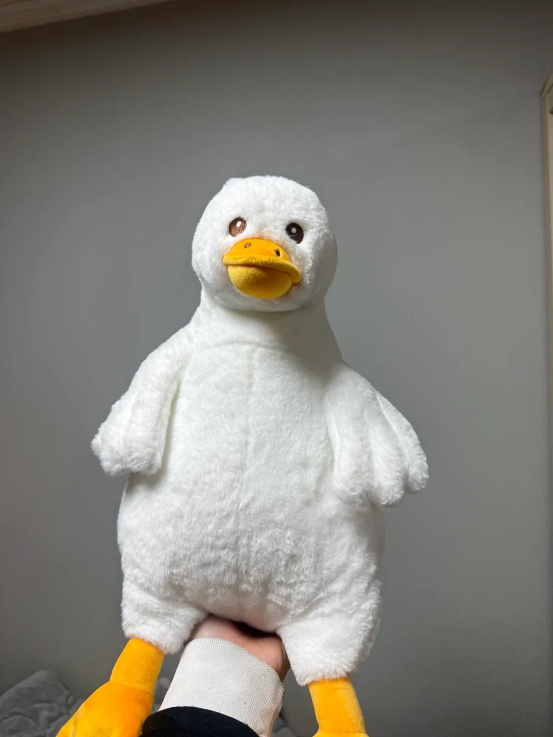 인형 팔아요!