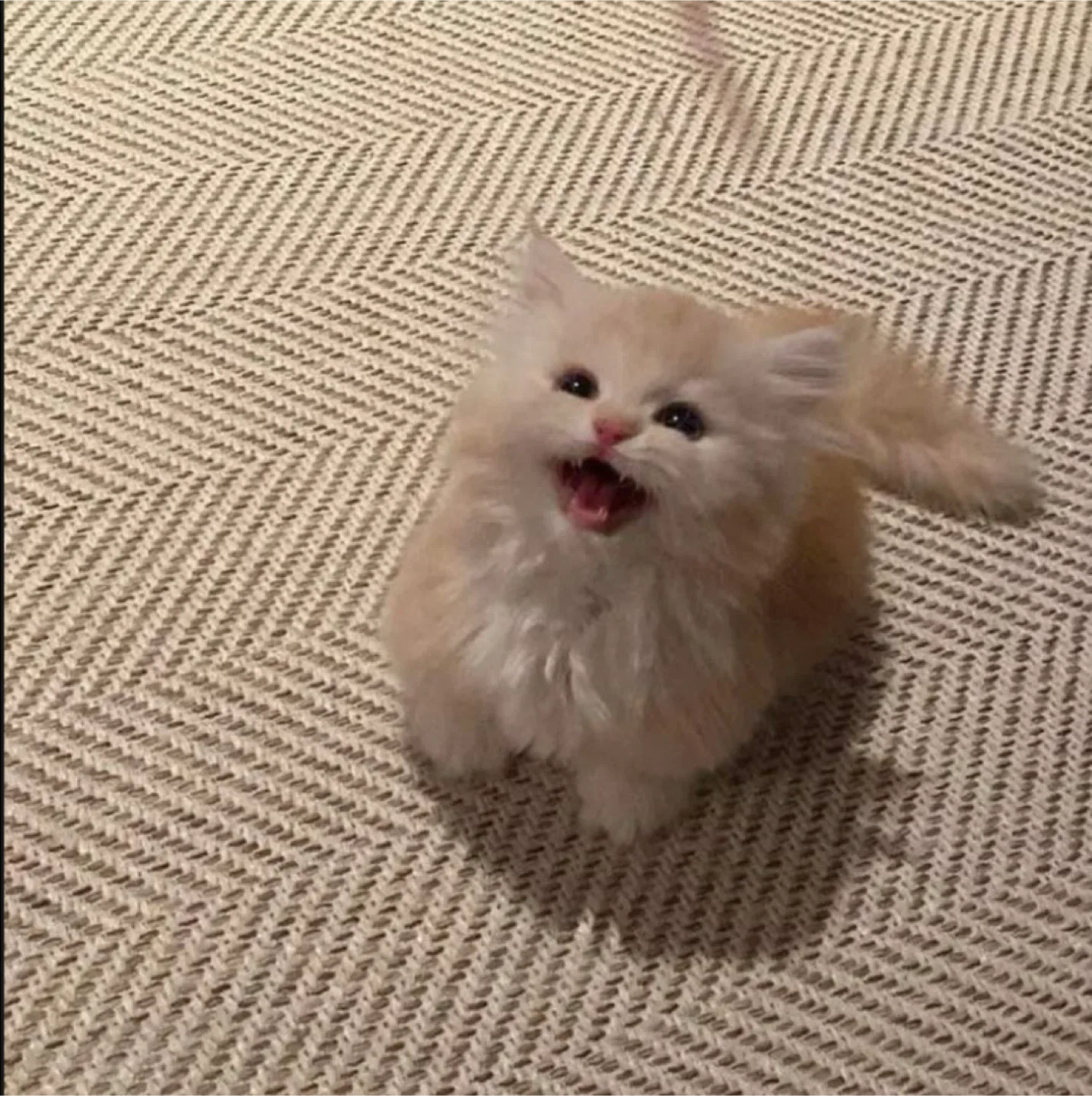 교환 하실분!!