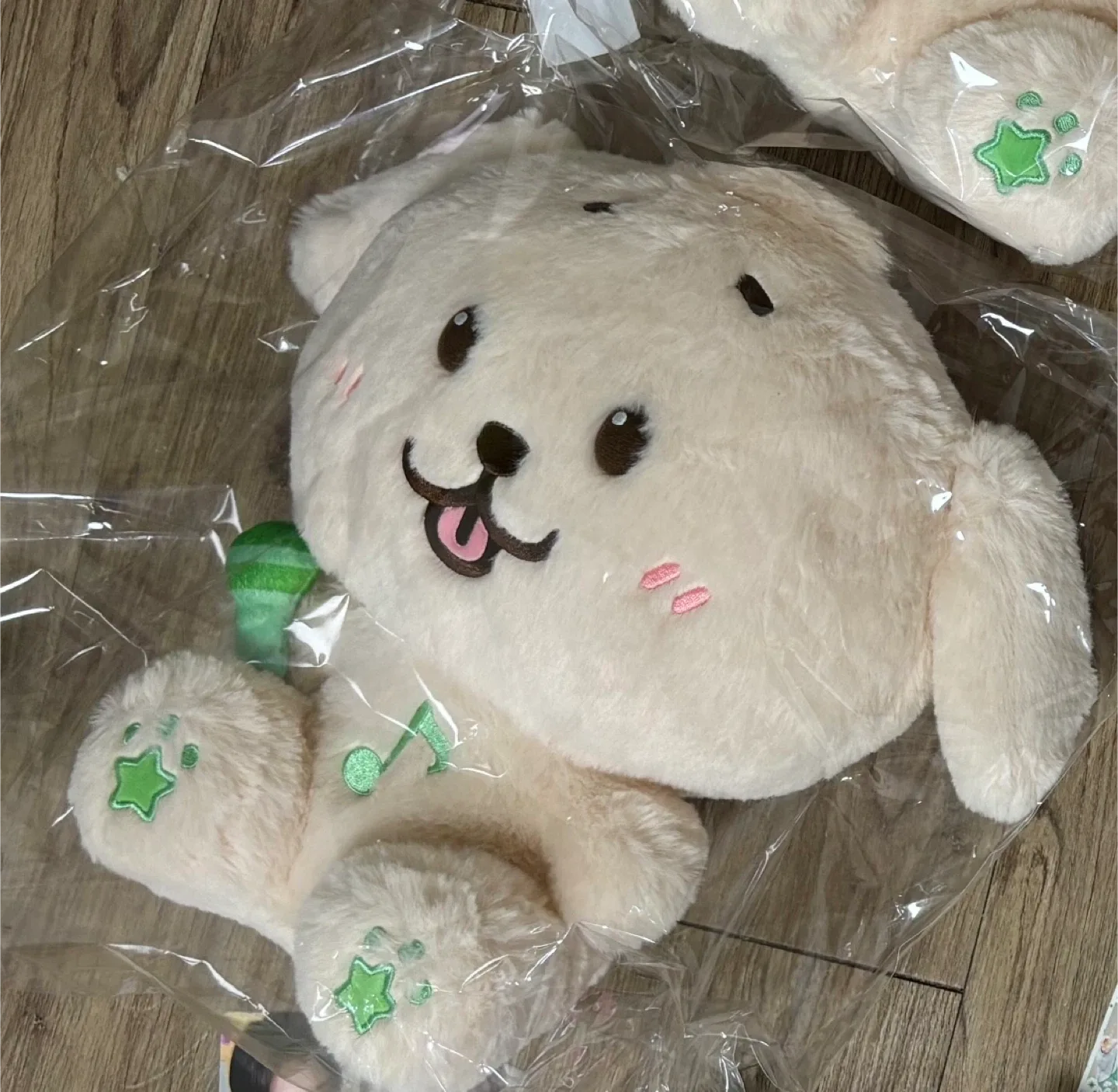 미개봉 NCT WISH 댕트리버 30cm 위시돌