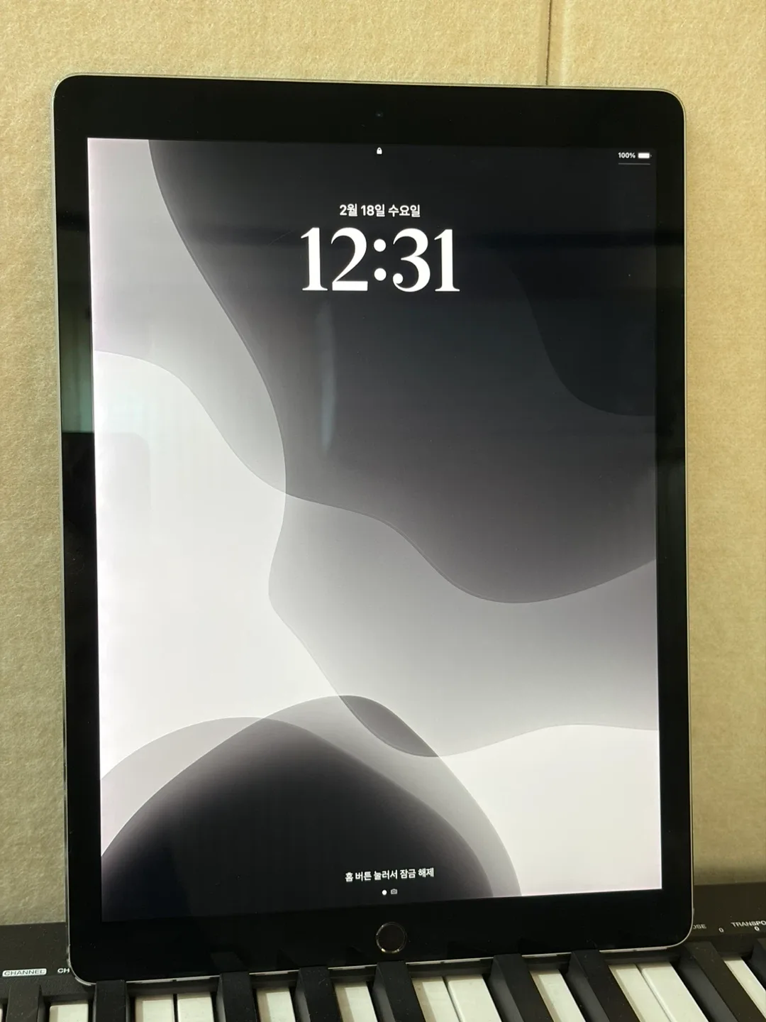 아이패드프로2세대 12.9인치 64GB 스페이스그레이