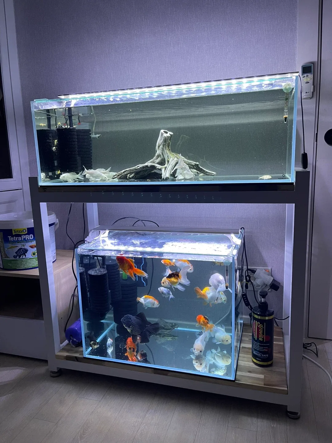 (경기 북부) 아쿠아가든 3자 광폭 수조 90x45x30 (8T), 2자 광폭 60x45x45 (8T) A급 판매