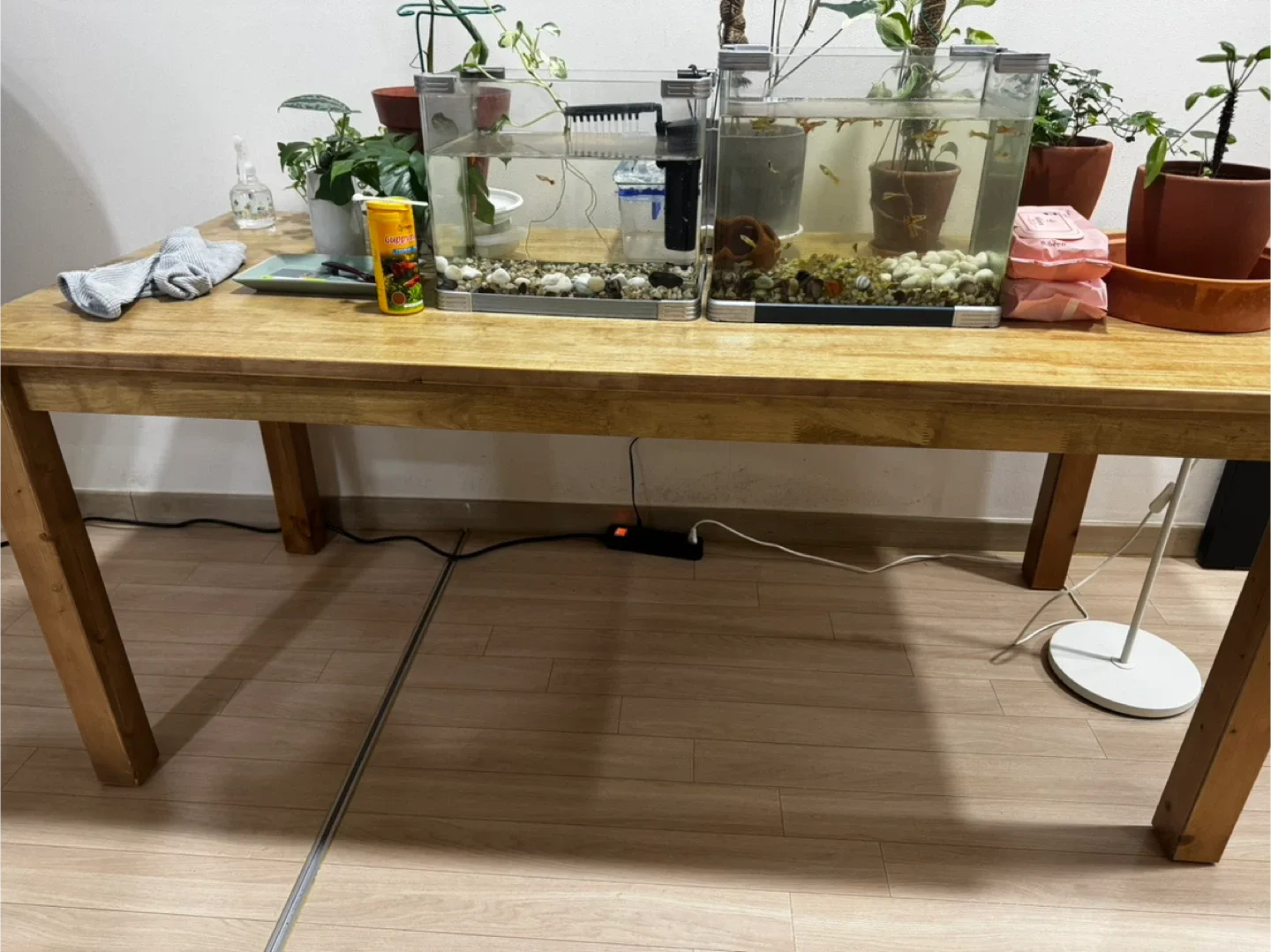 고무나무 원목 탁자와 긴의자