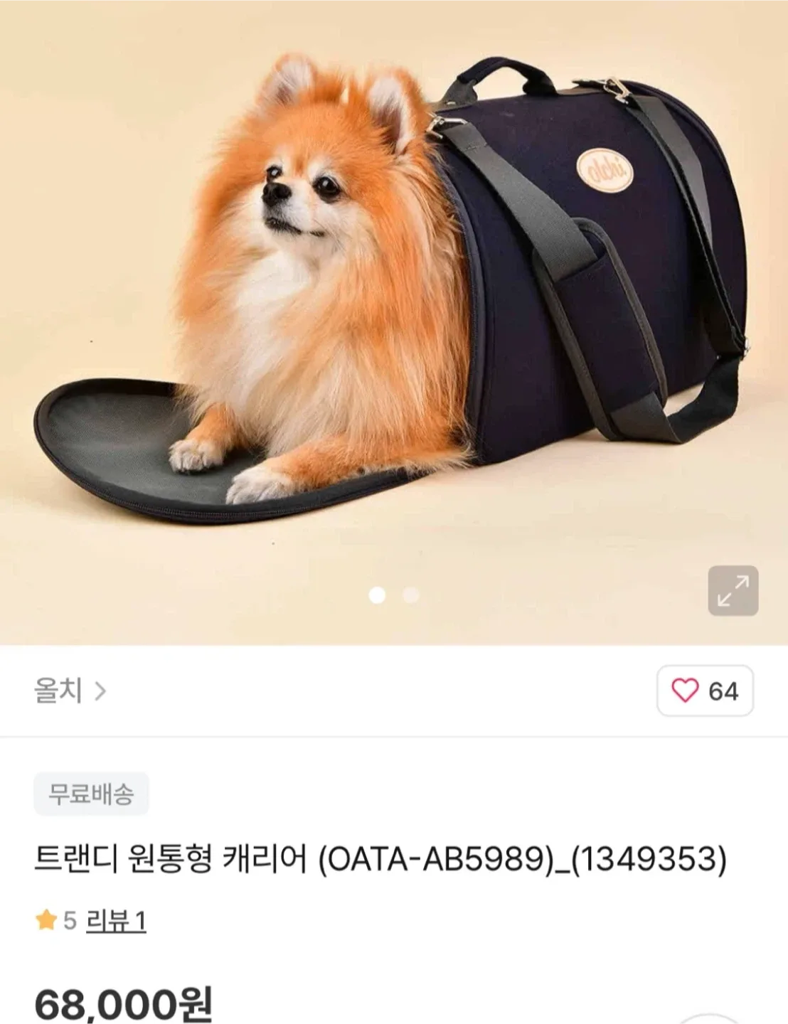 올치 강아지 보관 가방 캐리어