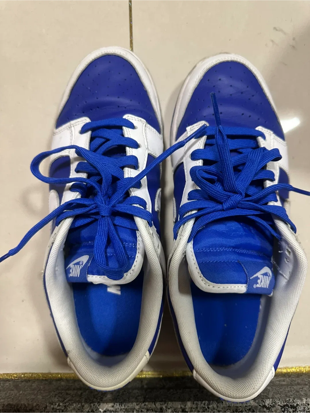 나이키 덩크 로우 파랑/흰색 운동화 280
