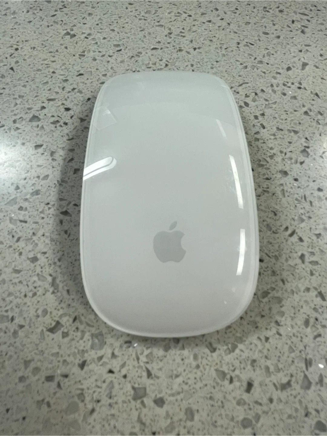 애플 매직 마우스2