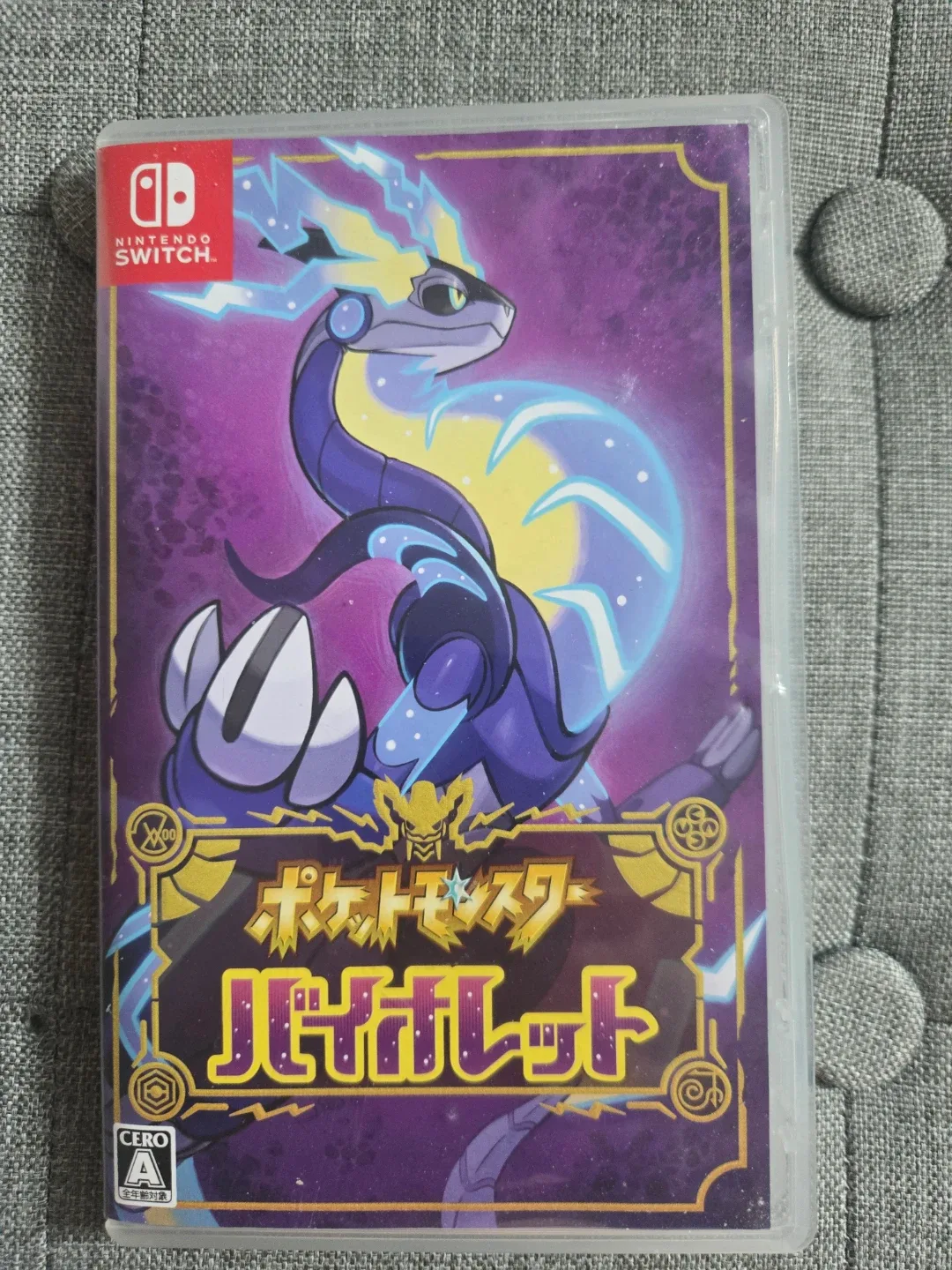 닌텐도 포켓몬 칩