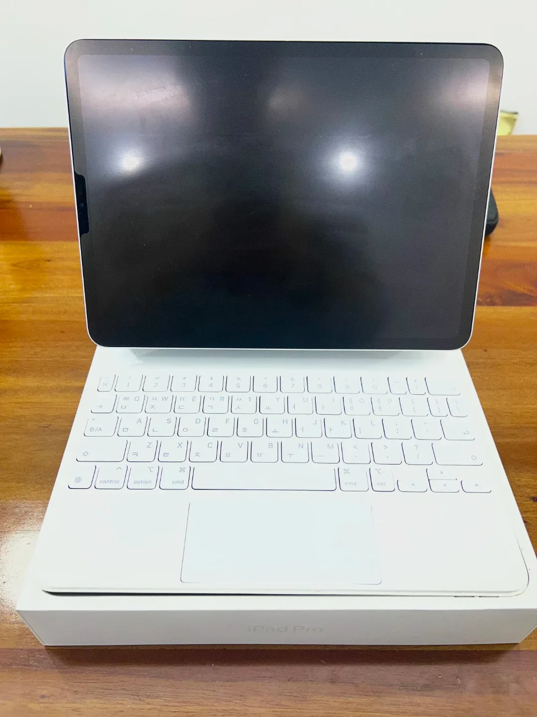 아이패드 프로m2  512 wifi + 애플펜슬2 + 매직키보드