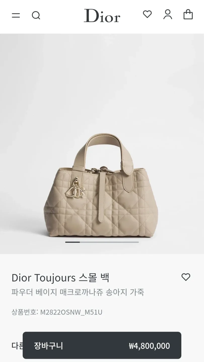 디올 뚜쥬흐 스몰 파우더 베이지