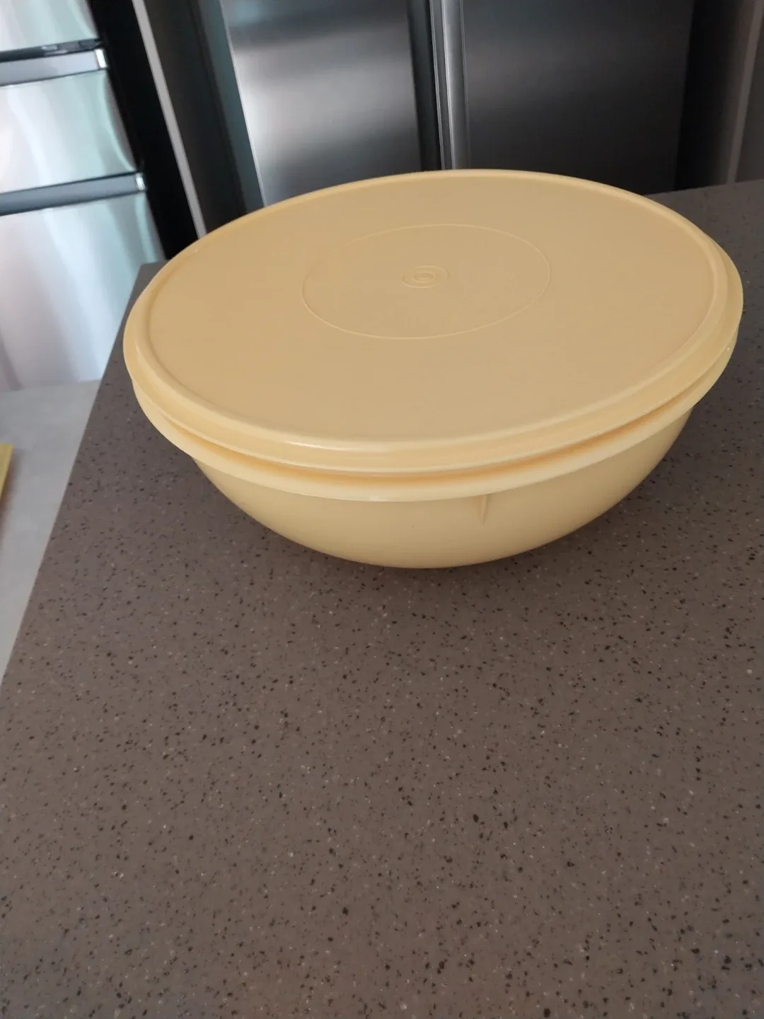 타파웨어 보울큰똥 중고팝ㅣ다