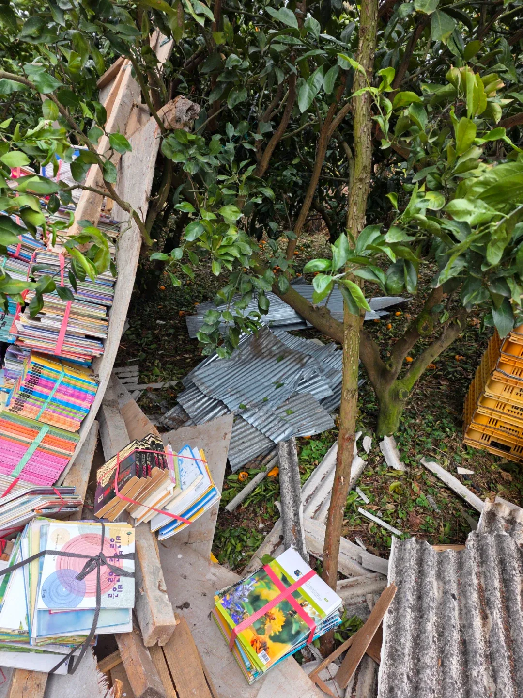 중고 책 묶음 판매