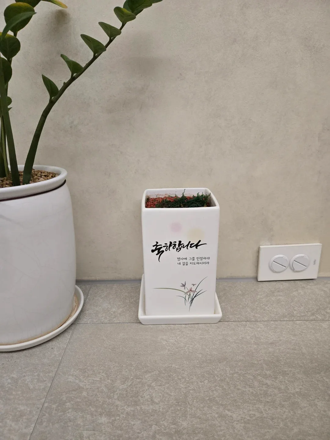 화분 나눔합니다(식물없음)