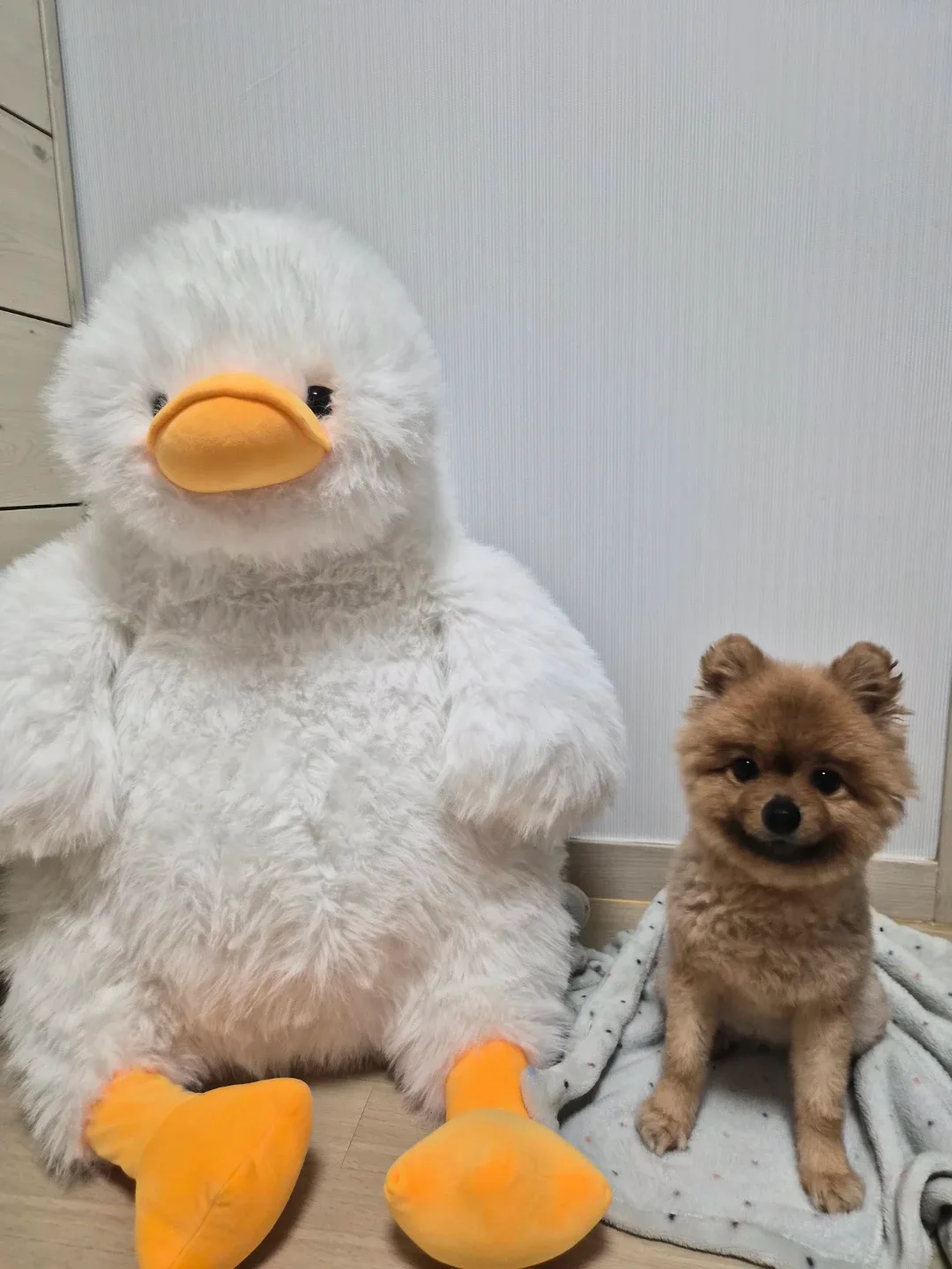 흰색 대형 오리 인형