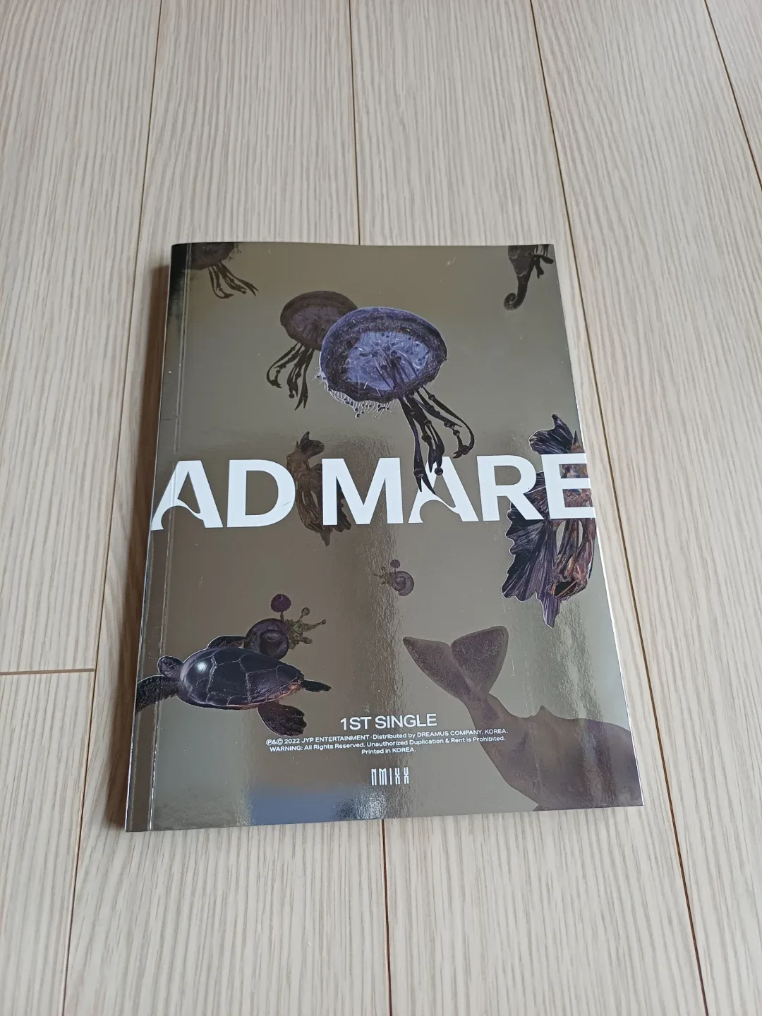 엔믹스 싱글 1집 AD MARE
