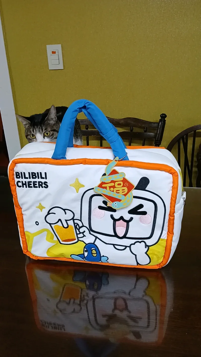 Bilibili Cheers 캐릭터 보온보냉 다용도가방 새제품
