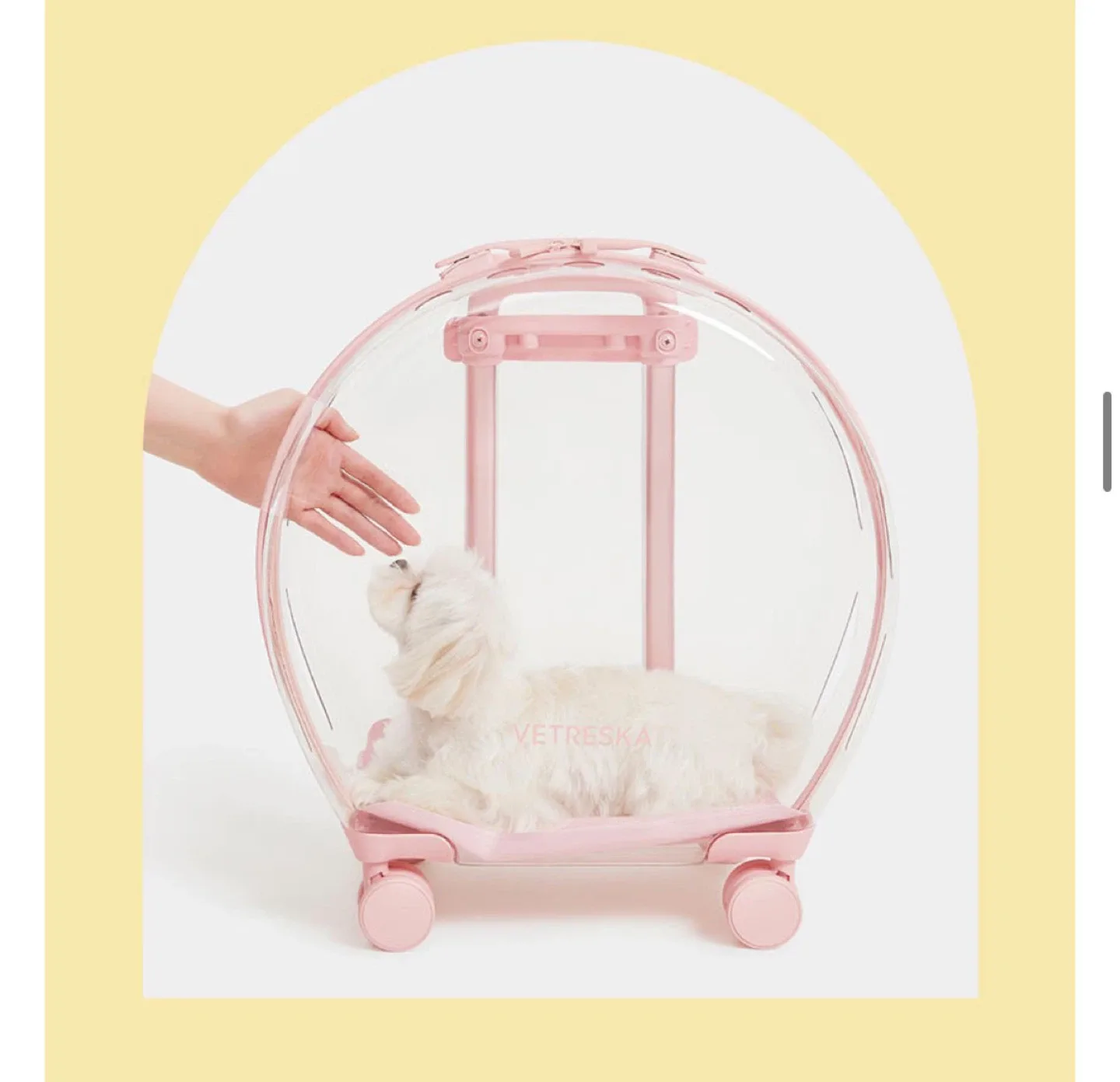 강아지 고양이 반려동물 이동 캐리어