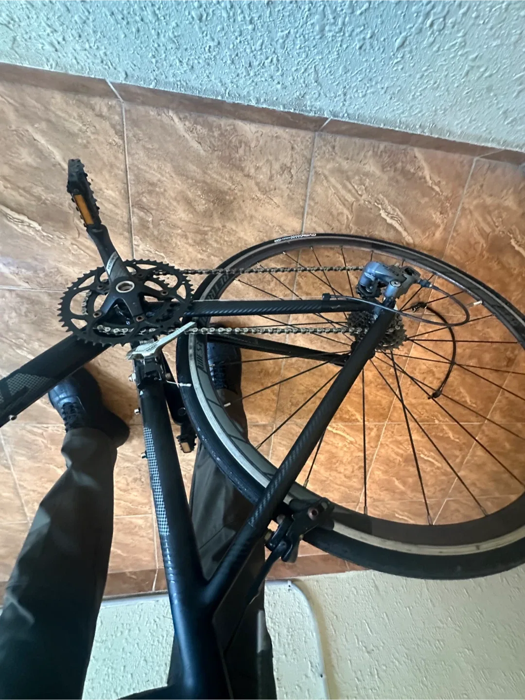 Twitter 카본 로드 자전거