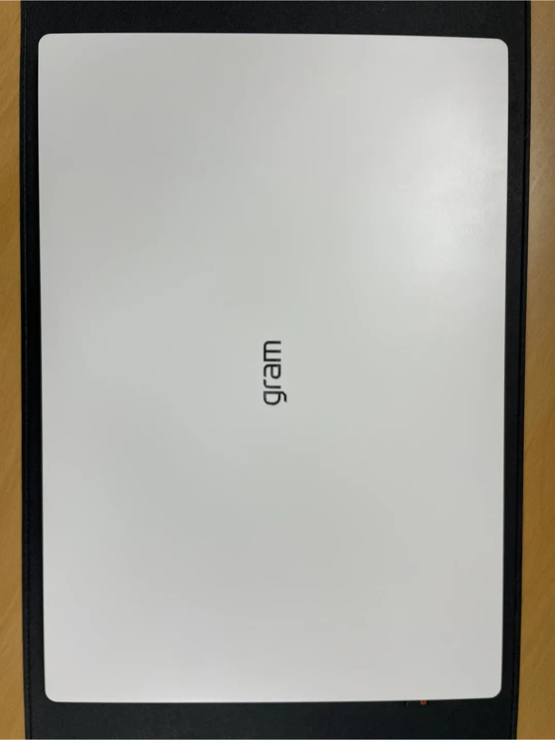 LG 그램 17인치 Ultra 5
