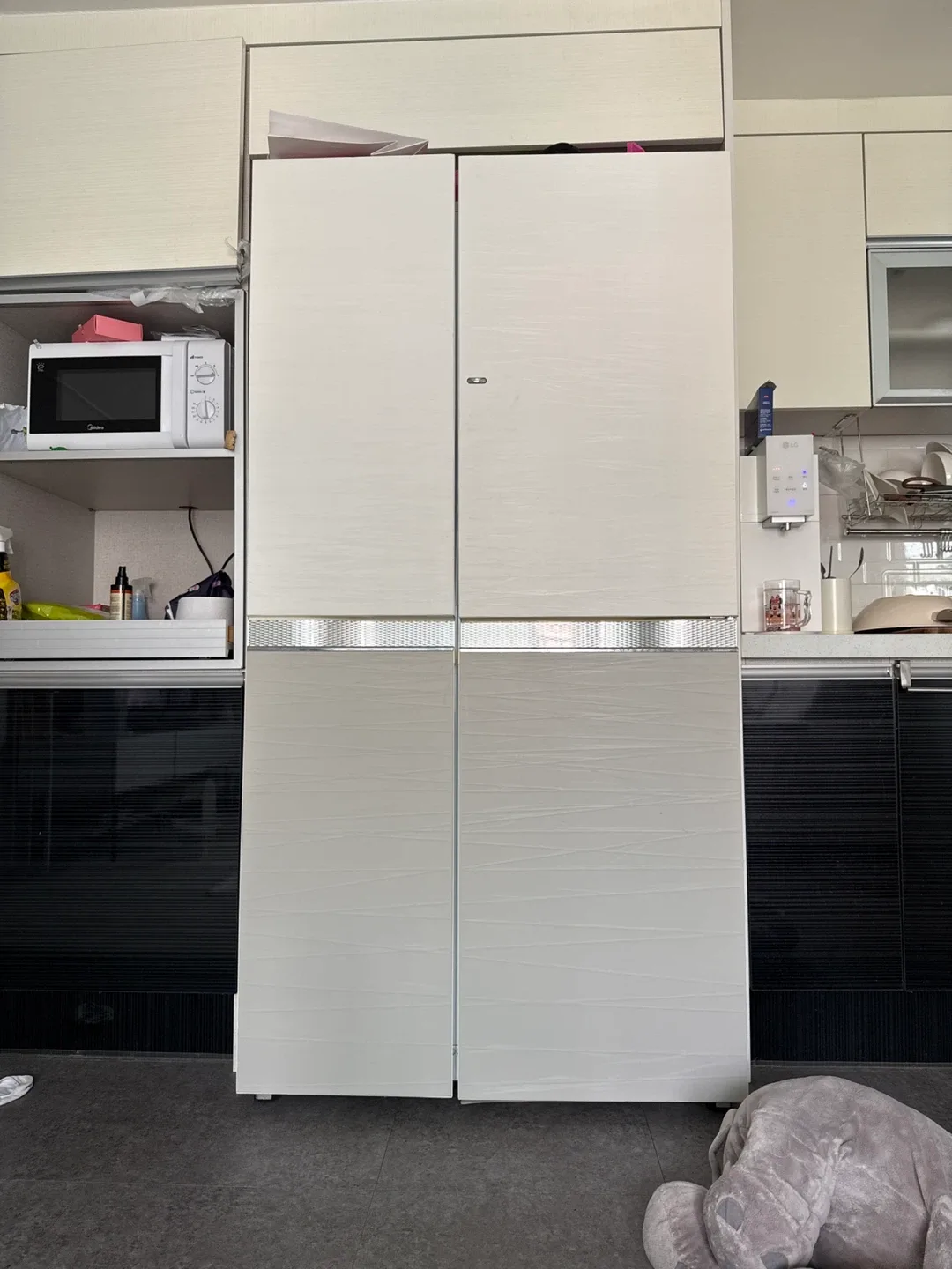 LG 디오스 양문형 냉장고