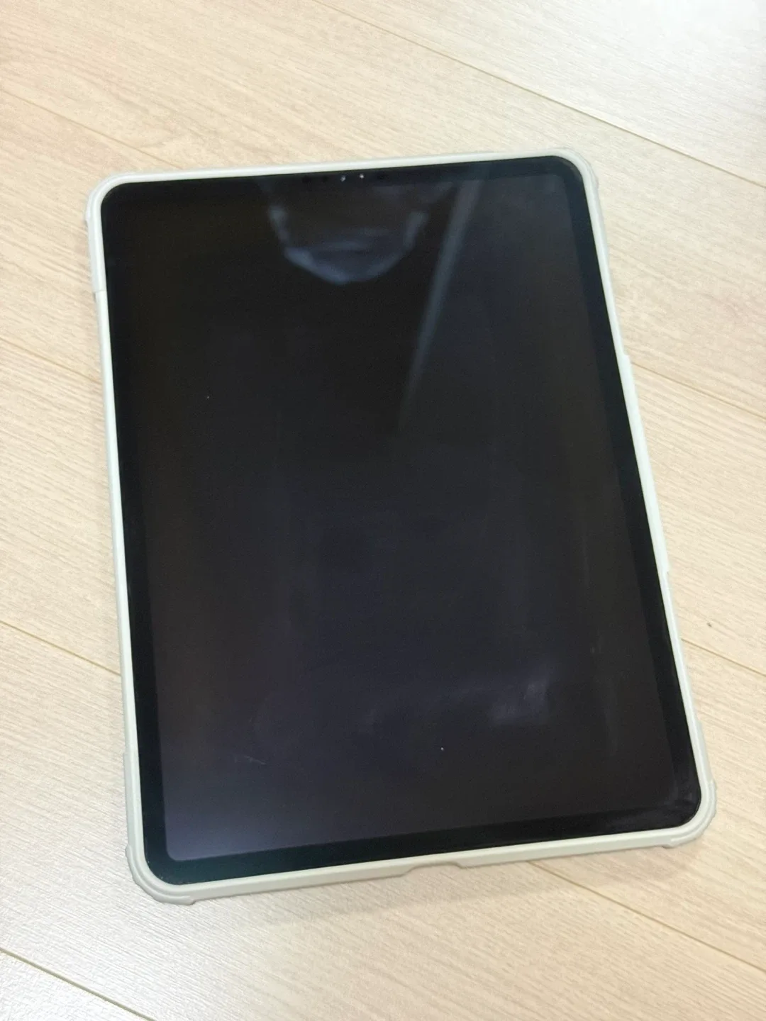 아이패드 프로 1세대